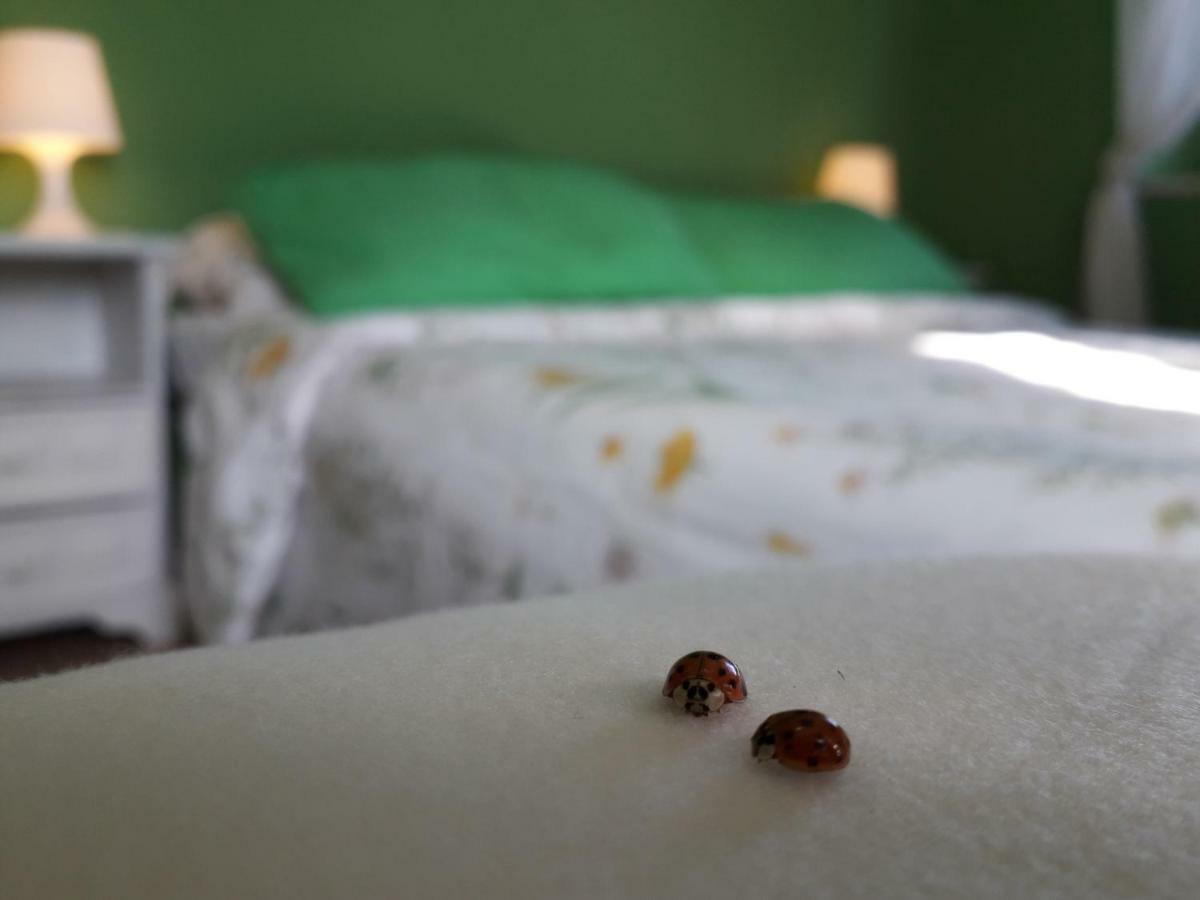Alle Preci Country House Santa Restituta Экстерьер фото